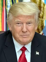 Dont Miss This What Is Donald Trumps Iq Unveiling The Truth Behind The Numbers The Full Story - 8c874n3