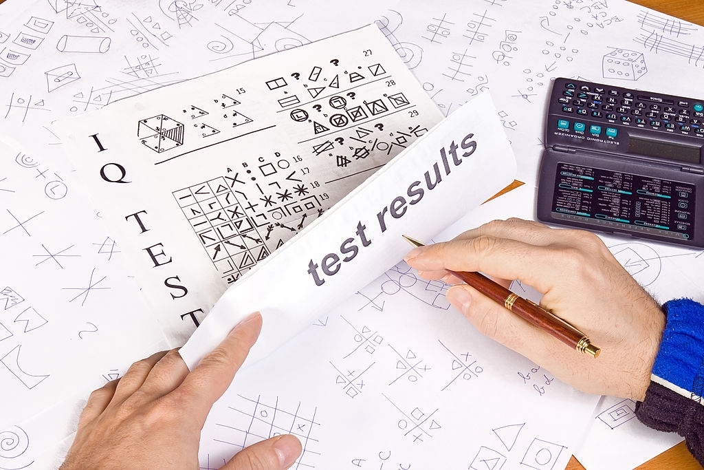 Determinants of Intelligence Test Scores