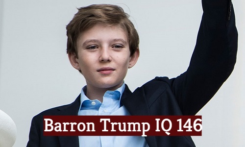 barron trump iq