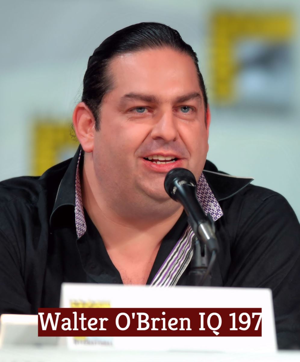 walter obrien high iq