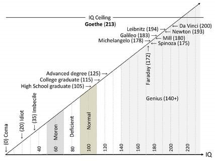 Leonardo Da Vinci iq chart