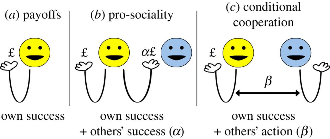 Increased Level to understand and cooperate with others